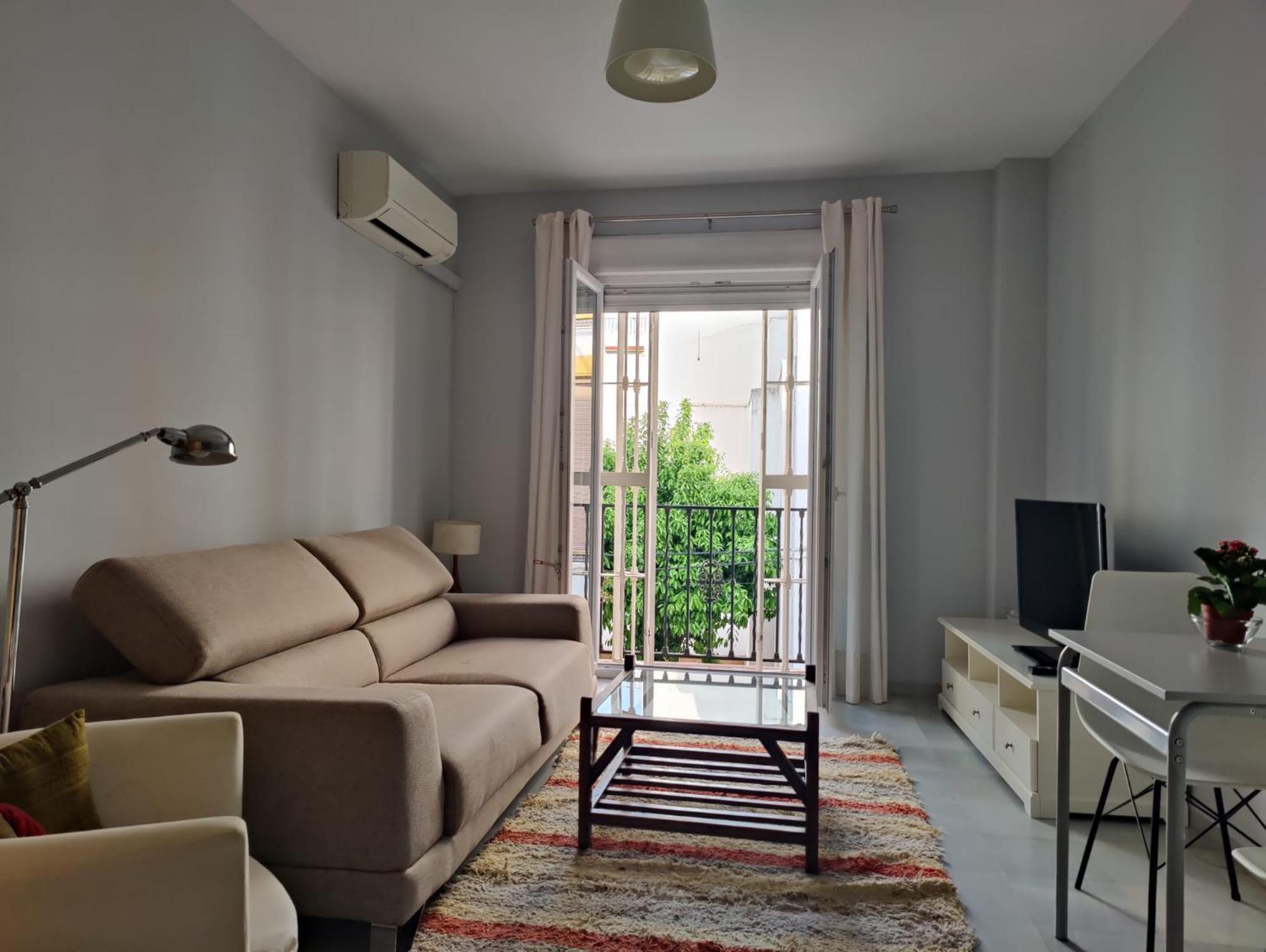 Luminoso Apartamento Exterior Con Balcon Y Patio En Centro Historico Feria-Alameda セビリア エクステリア 写真