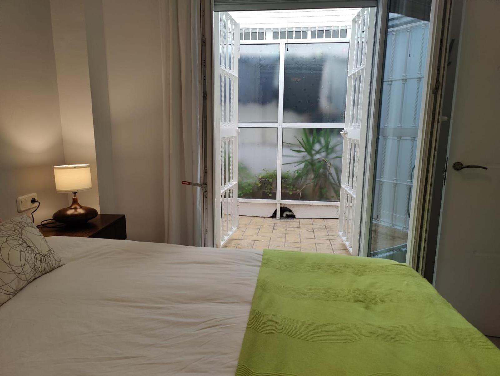 Luminoso Apartamento Exterior Con Balcon Y Patio En Centro Historico Feria-Alameda セビリア エクステリア 写真
